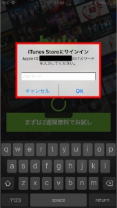 iTunes決済を選択してiPhoneでHuluに新規登録する手順（iTunesStoreにログインする）